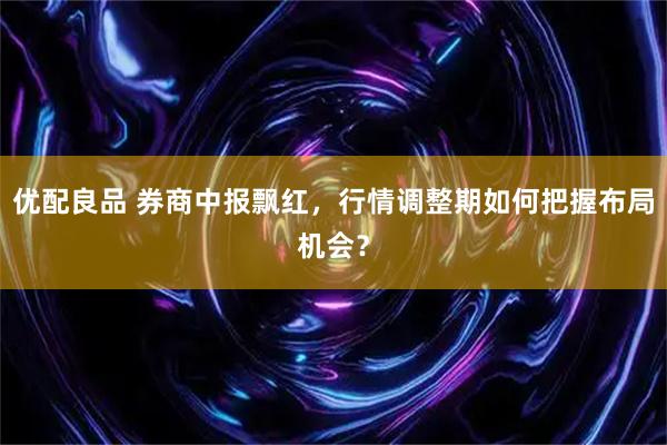 优配良品 券商中报飘红，行情调整期如何把握布局机会？