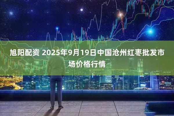 旭阳配资 2025年9月19日中国沧州红枣批发市场价格行情