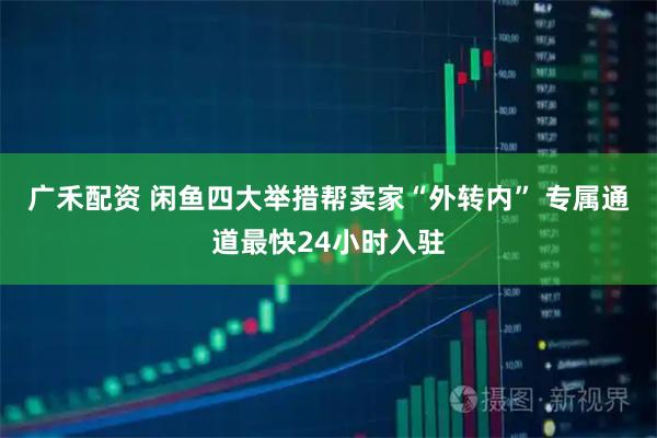 广禾配资 闲鱼四大举措帮卖家“外转内” 专属通道最快24小时入驻