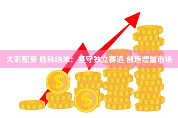 大彩配资 胜科纳米：坚守独立赛道 创造增量市场