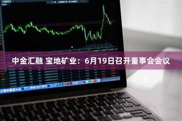 中金汇融 宝地矿业：6月19日召开董事会会议