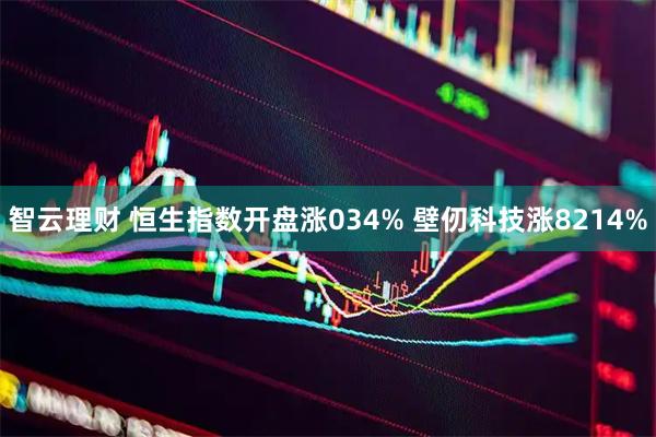 智云理财 恒生指数开盘涨034% 壁仞科技涨8214%