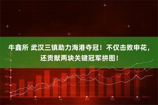 牛鑫所 武汉三镇助力海港夺冠！不仅击败申花，还贡献两块关键冠军拼图！